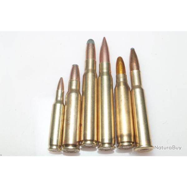 Collection  6 cartouches  de gros calibres diffrents