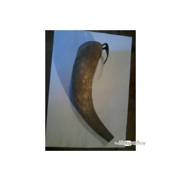 Coffin en corne de vache