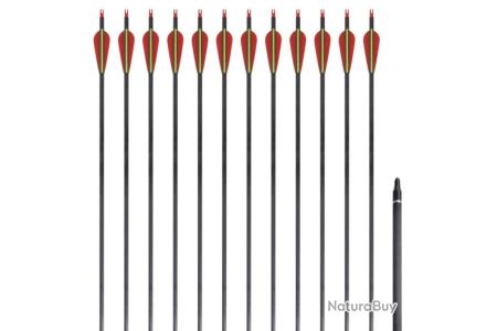 Flèches En Carbone 31 Flèches Carbone Pur Pour Arc Compound Ou Recurve - Chasse Ou Cible Pointes Amovibles 100 Grains