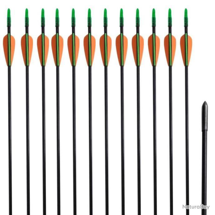 Flèches De Tir à L'arc Colorful Eagle – Fibre De Verre, Spine 500, Pour Arc Compound, Bleues