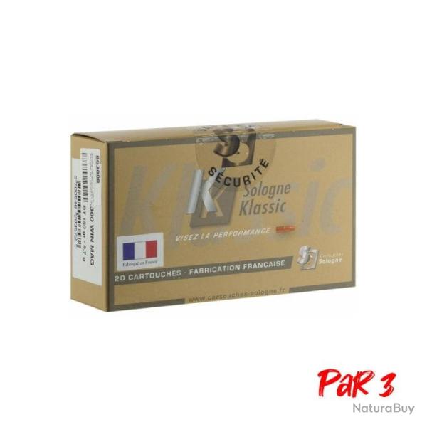 Balles Sologne Nosler Ballistic TIP - 300 Win MAG / Par 3