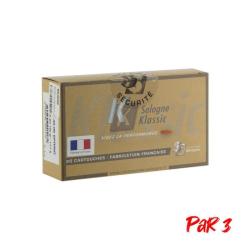 Balles Sologne Nosler Ballistic Tip - Cal. 30-06 Sprg - 30-06 / Par 3