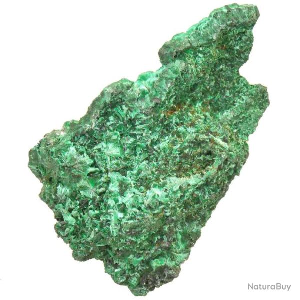 Malachite cristallis�e fibreuse - Qualit� extra - A l'unit� 61 � 80 grammes