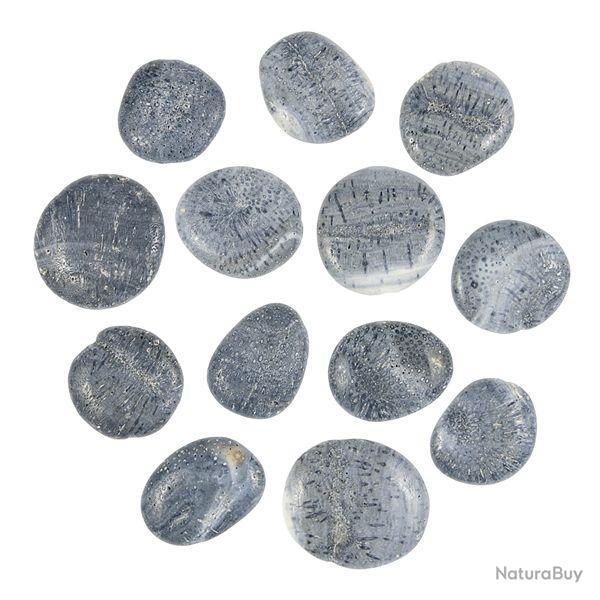 Galet plat corail bleu - A l'unit� 11 � 20 grammes