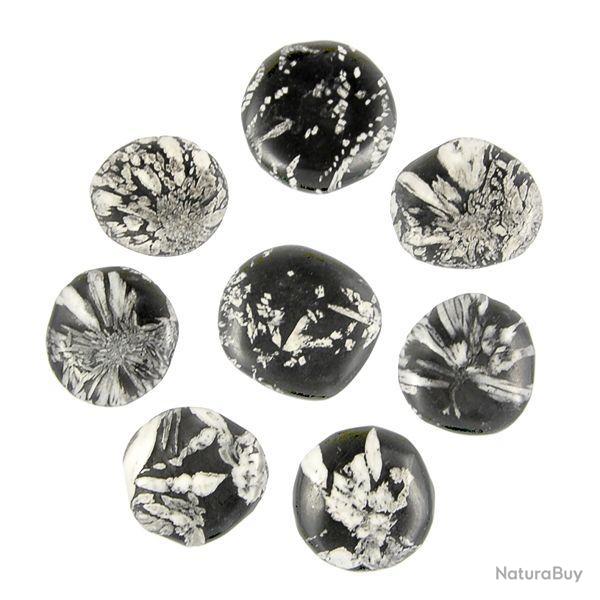 Galet plat chrysanth�me - A l'unit� 21 � 30 grammes