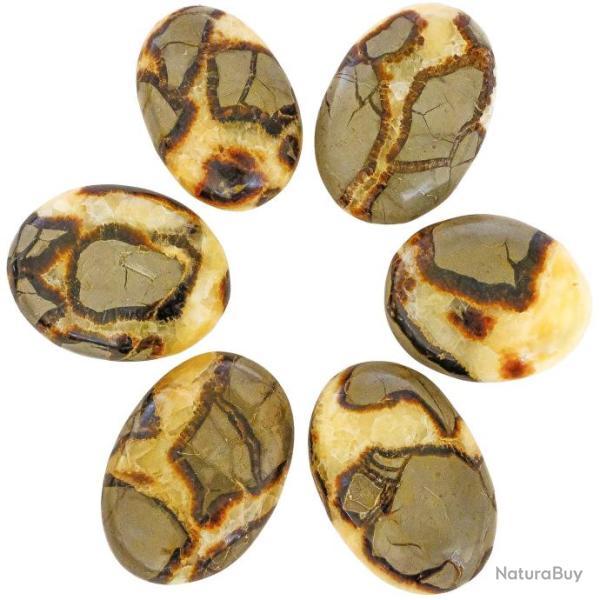 Galet de septaria - A l'unit� 161 � 200 grammes