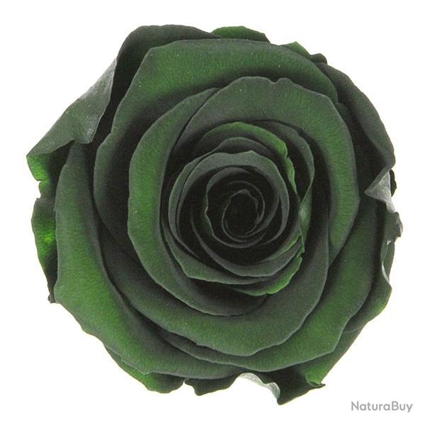 T�te de rose stabilis�e Vert sapin
