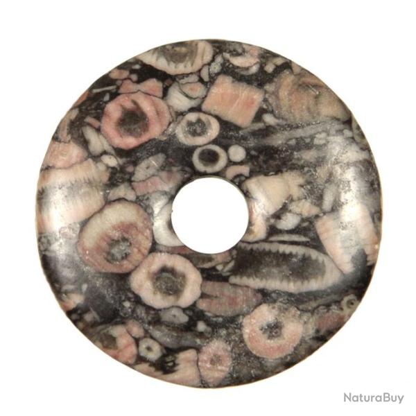 Donut Pi Chinois en crino�de fossilis�e pour pendentif 3 cm