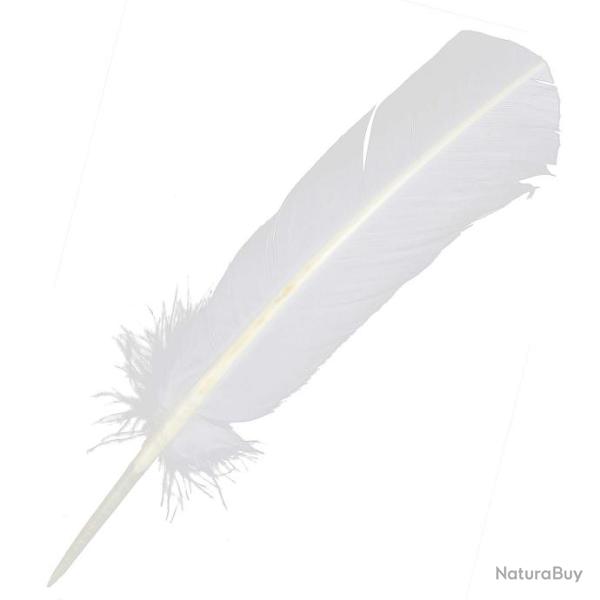 Plumes palette de dinde - 25  30 cm - Lot de 5 Blanc