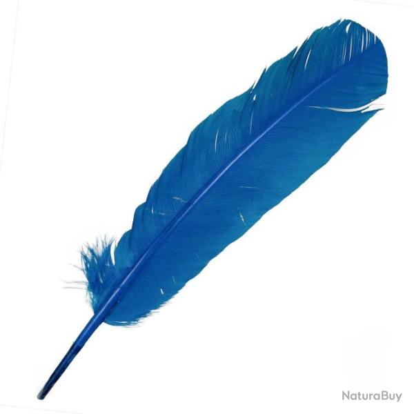 Plumes palette de dinde - 25  30 cm - Lot de 5 Bleu outre-mer