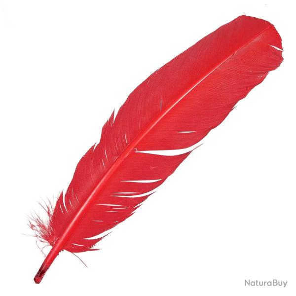 Plumes palette de dinde - 25  30 cm - Lot de 5 Rouge
