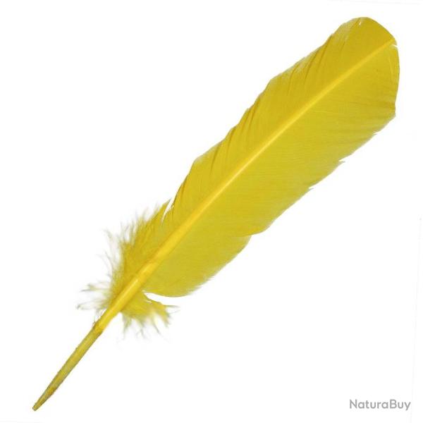 Plumes palette de dinde - 25  30 cm - Lot de 5 Jaune