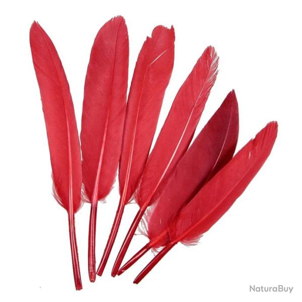 Plumes de chocotte d'oie - 10  15 cm - Lot de 30 Rouge