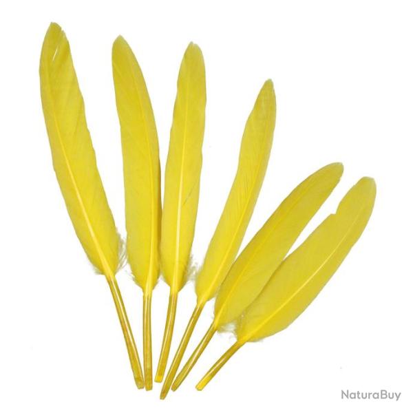 Plumes de chocotte d'oie - 10  15 cm - Lot de 30 Jaune