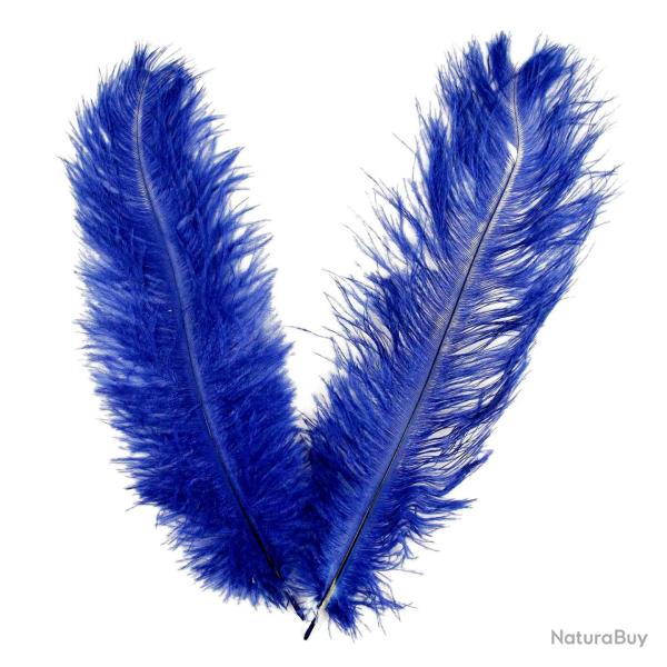 Plumes de blondine - 30  40 cm - Lot de 5 Bleu roy