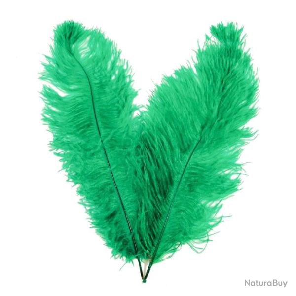 Plumes de blondine - 30  40 cm - Lot de 5 Vert vif