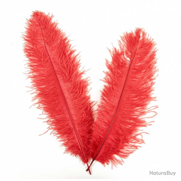 Plumes de blondine - 30  40 cm - Lot de 5 Rouge