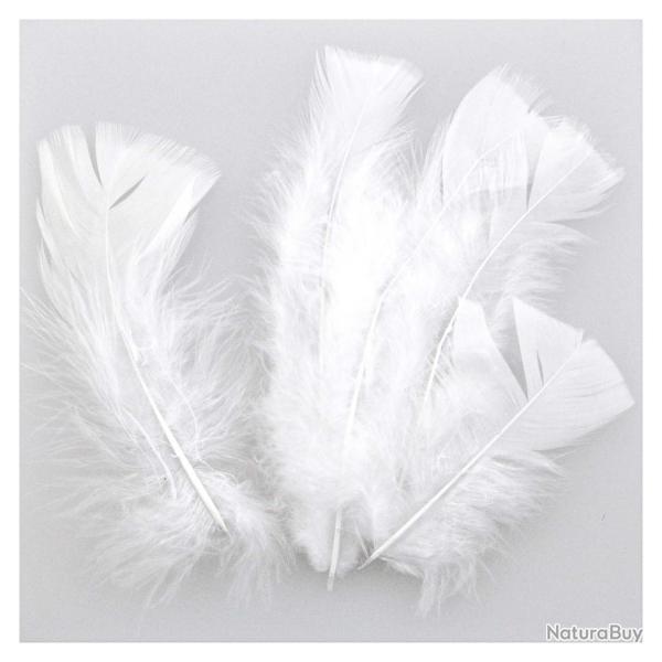 Plumes pied plat de dinde - 5 grammes  Blanc