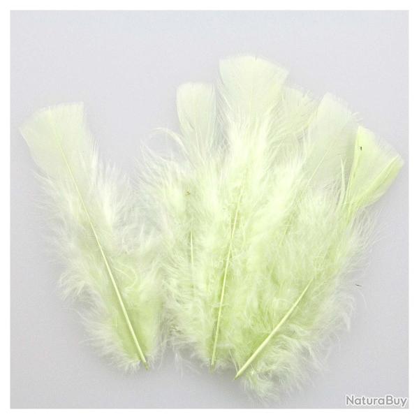 Plumes pied plat de dinde - 5 grammes  Pistache