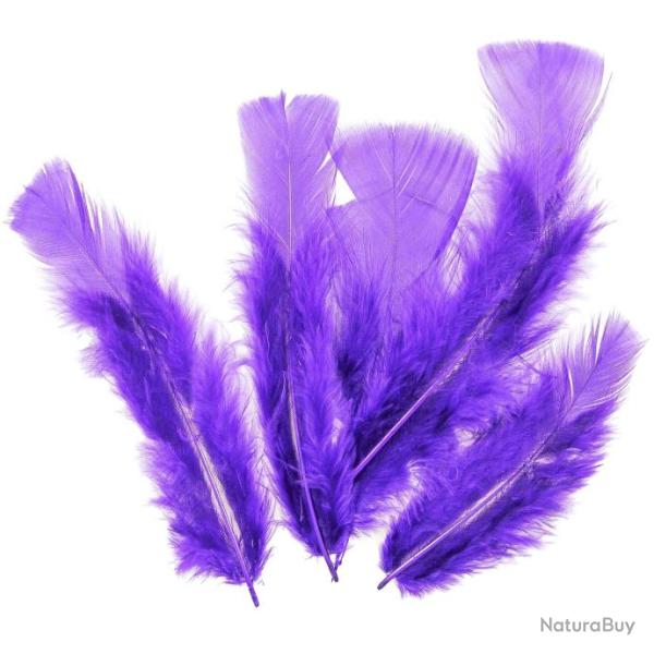 Plumes pied plat de dinde - 5 grammes  Violet