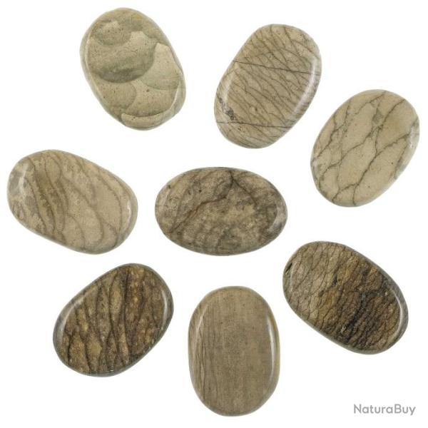 Galet plat jaspe �caille - A l'unit� 21 � 30 grammes