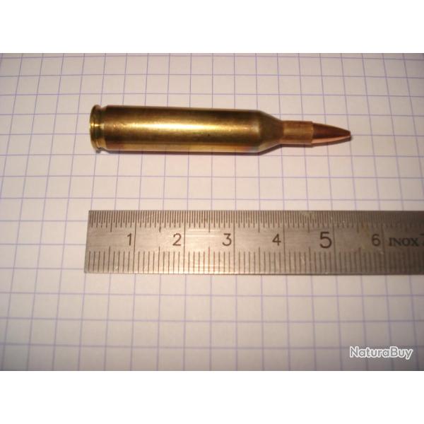 une cartouche de 17 remington pour collection, ogive creuse hollow point