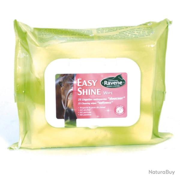 Easy shine whipe