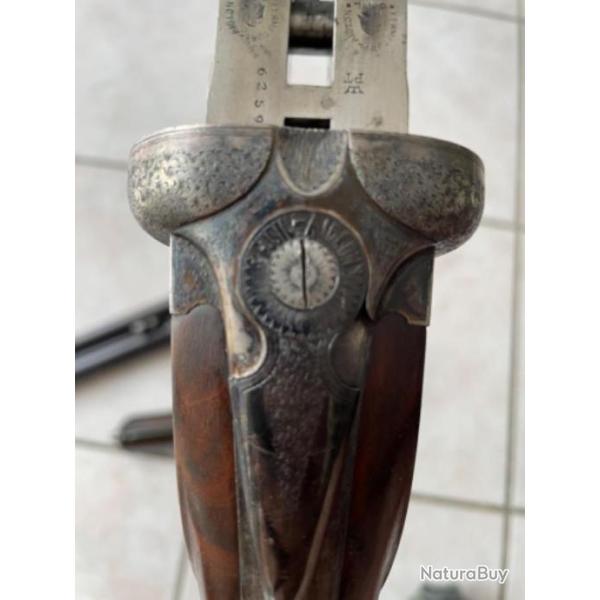 Superbe Guichard Aiglon