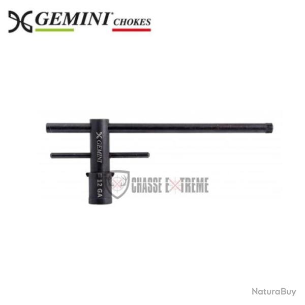 Cl� GEMINI Standard avec Bras Long Cal 12