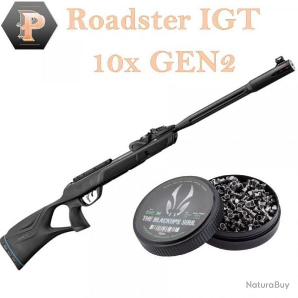 Pack Carabine 19,9J ROADSTER IGT 10X GEN2 cal. 4,5 mm + 500 Plombs