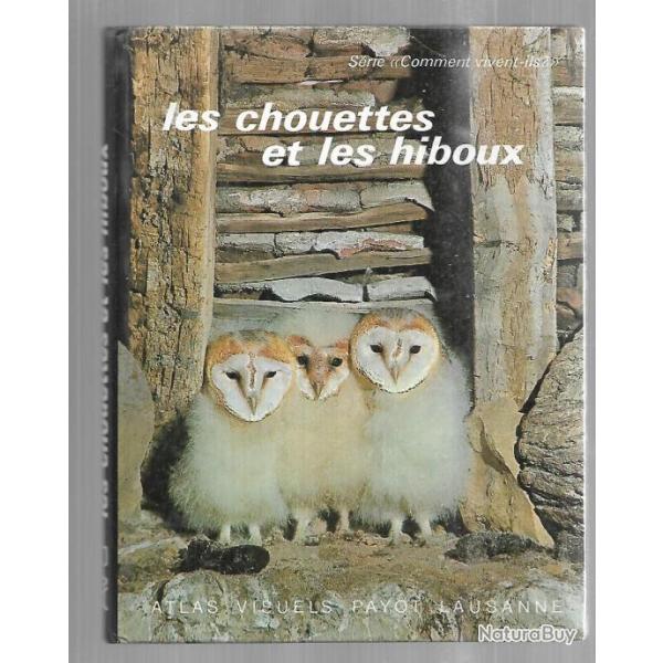 les chouettes et les hiboux s�rie comment vivent-ils?