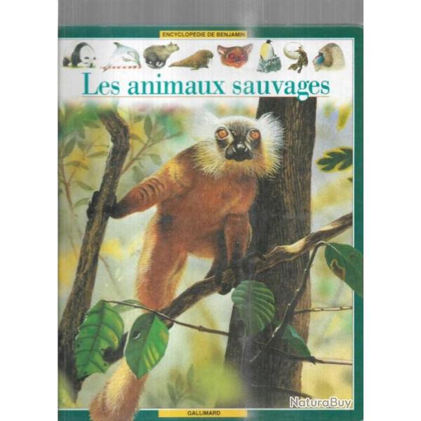 les animaux sauvages encyclop�die de benjamin