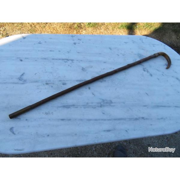 Tr�s belle canne de Marche/Chasse,  pommeau en corne et fut en bois noueux - (Epoque fin XIXeme)