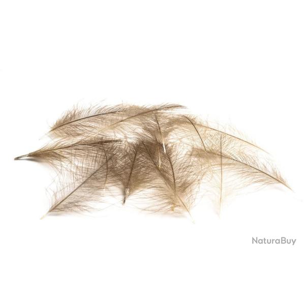 CUL DE CANARD SELECT Noir teint