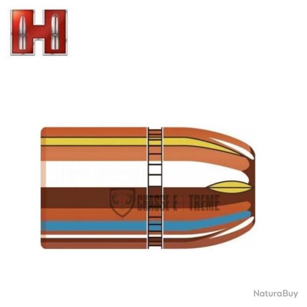 50 Ogives HORNADY cal 45 -300GR Xtp