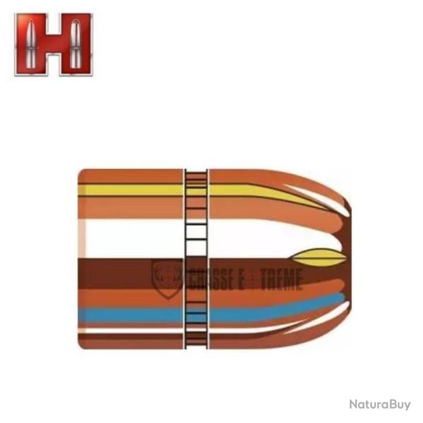 100 Ogives HORNADY cal 45 -240GR Xtp