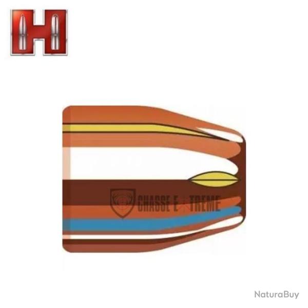 100 Ogives HORNADY cal 45 200 Gr Hp Xtp