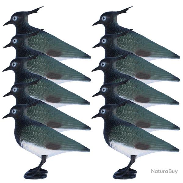 Pack 10 appelants vanneau hupp  pattes