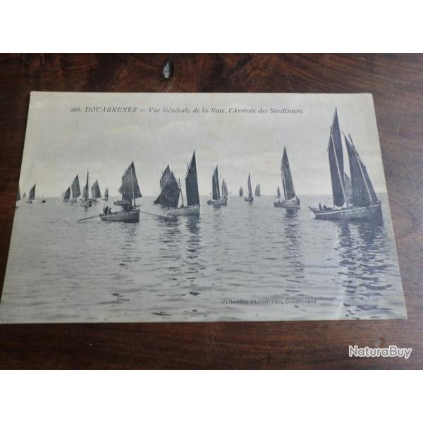 CP  dpt  29  DOUARNENEZ  VUE GENERALE  DE LA BAIE