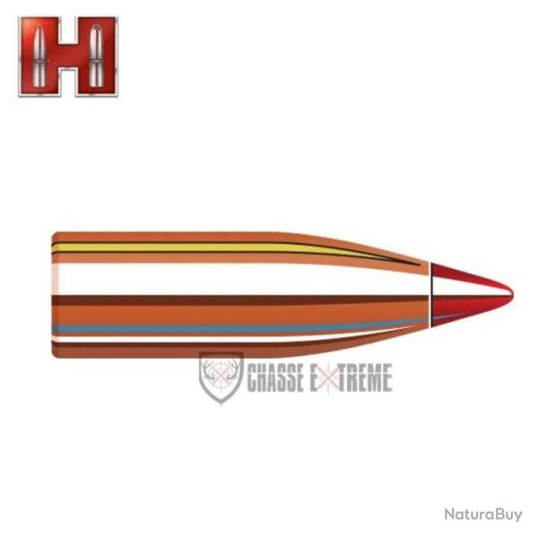 100 Ogives HORNADY Cal 22 60Gr V-Max