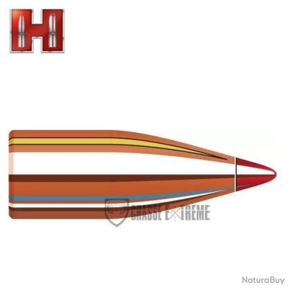 100 Ogives HORNADY cal 30 110Gr V-Max