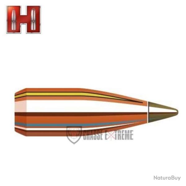 100 Ogives HORNADY cal 22 35Gr NTX