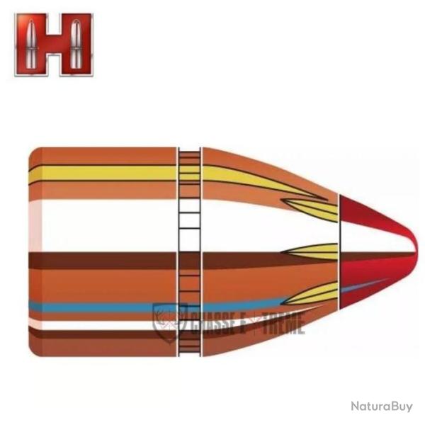 50 Ogives HORNADY cal 45 200Gr Ftx