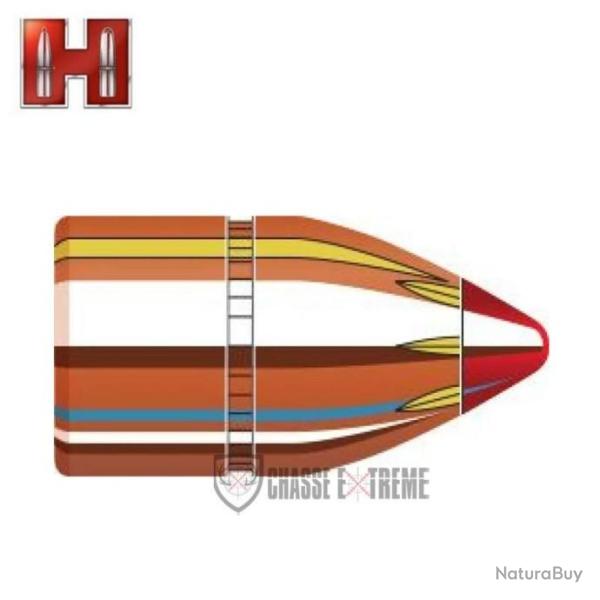 50 Ogives HORNADY cal 50 -300 Gr Ftx