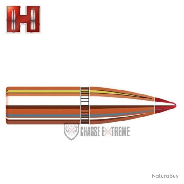 100 Ogives HORNADY cal 6mm -95Gr Sst