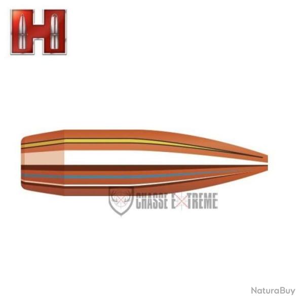 100 Ogives HORNADY cal 22 53Gr Hp Match