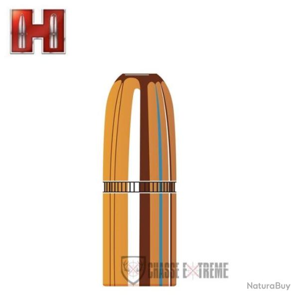 50 Ogives HORNADY cal 45 480Gr Dgs