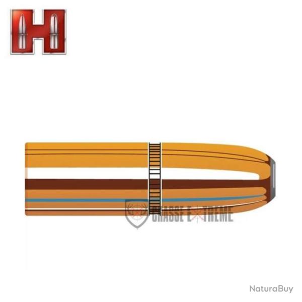 50 Ogives HORNADY cal 410-400Gr Dgx Bonded