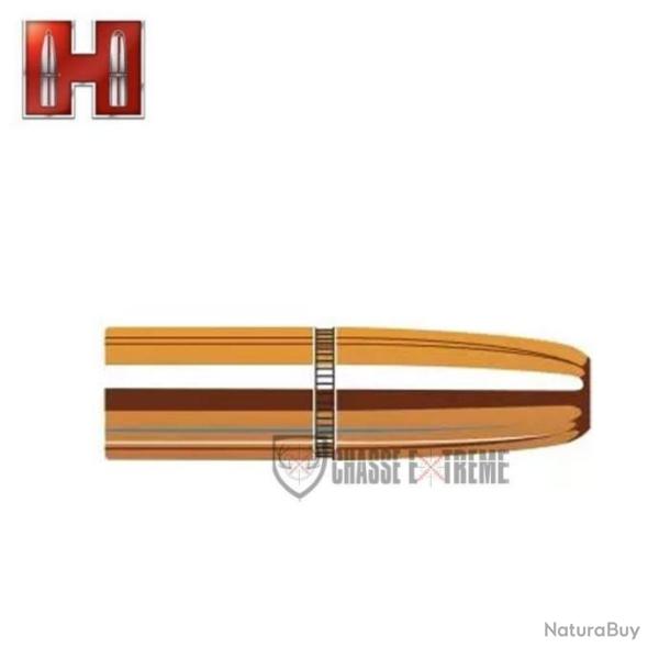 50 Ogives HORNADY cal 9.3mm 300 Gr Dgs