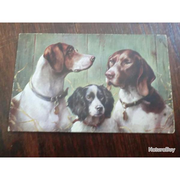 CP  ANIMALIER  POINTER